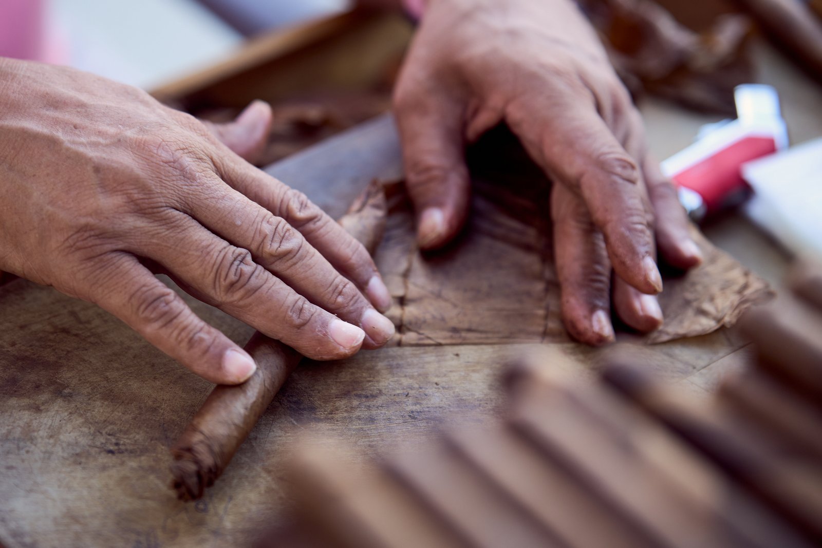 708 Cigar Rolling With Master Bomba at Willow Grove